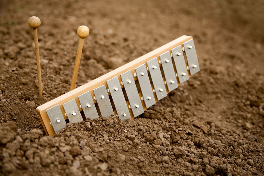 What Dream About Xylophone Means