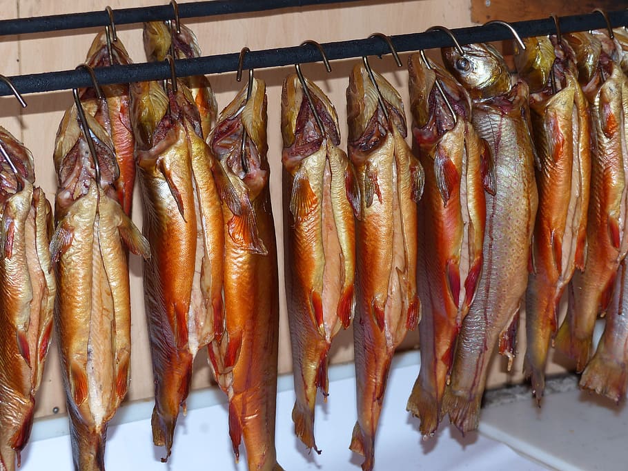 What Dream About Smoked Fish Means