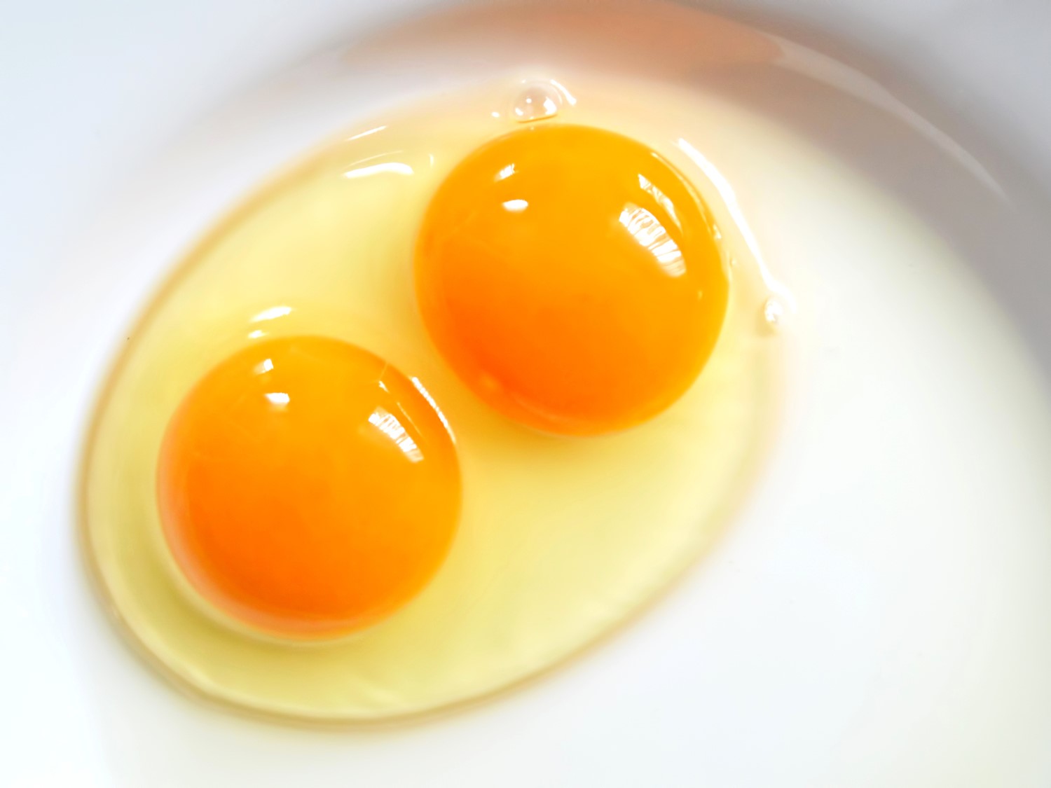 double-yolk-egg-spiritual-meaning-and-symbolism