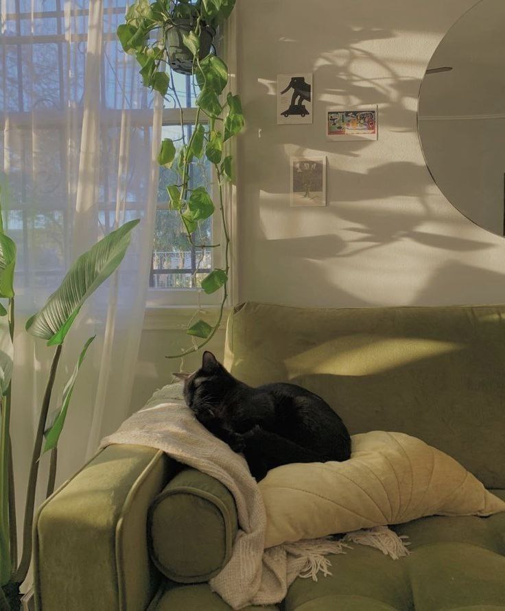 What Dream About Sofa Means