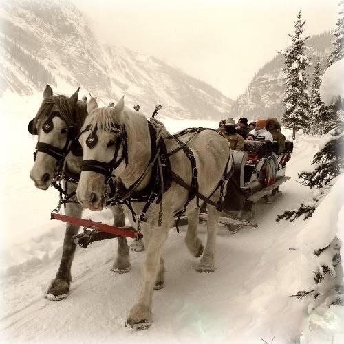 What Dream About Sleigh Means