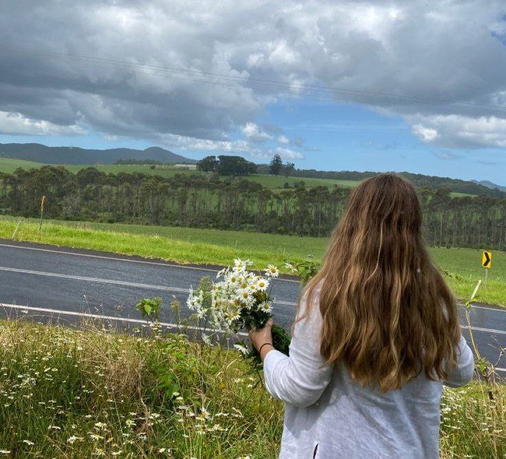 What Dream About Roadside Means