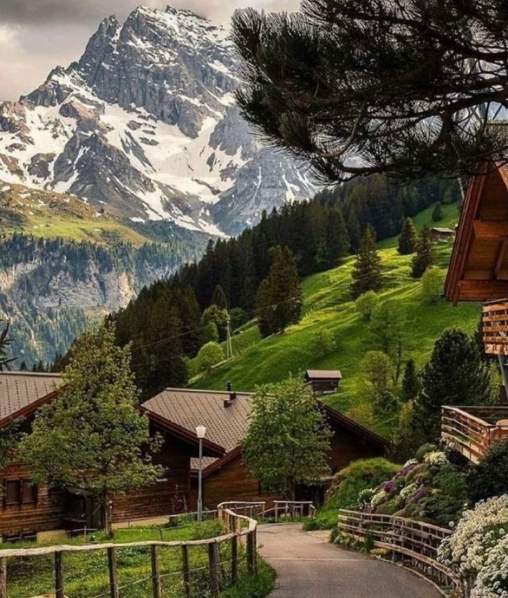 ⛰What Dream About Mountains Means