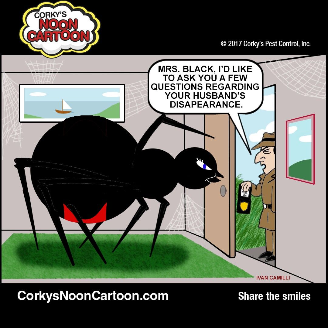 Awful big black spider
