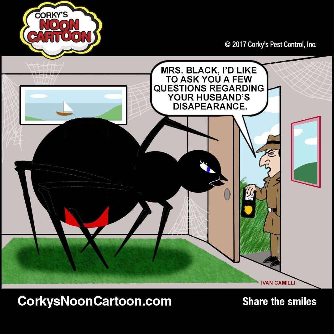 What Dream About Black Spider Means