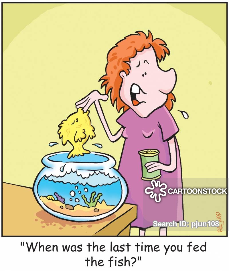 What Dream About Feeding The Fish Means