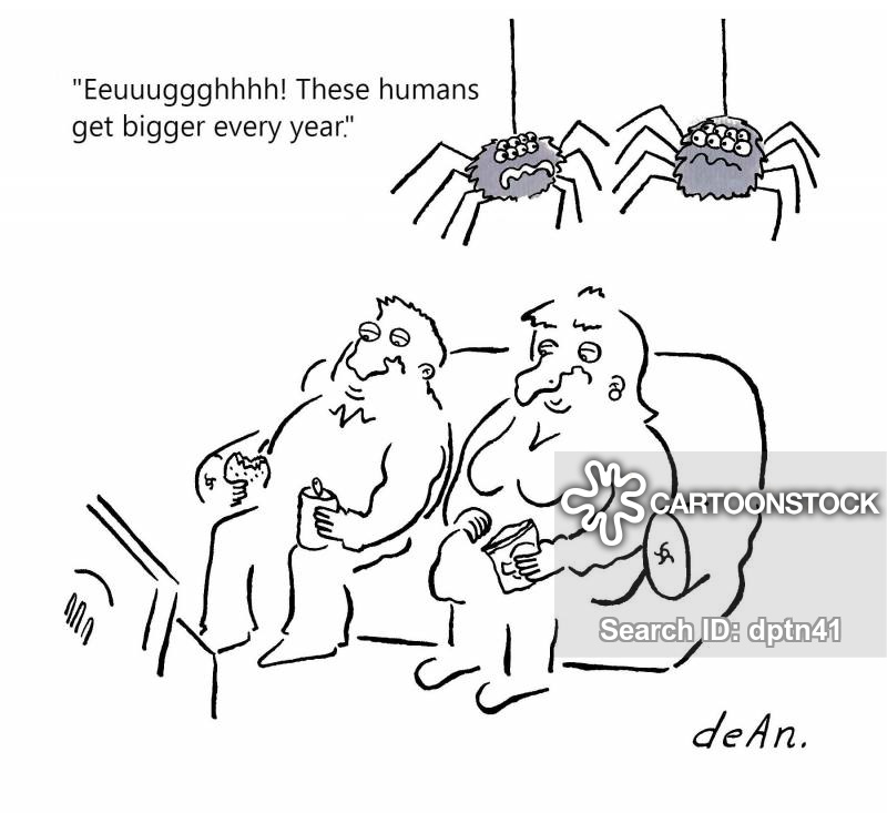 Real life omens about spiders