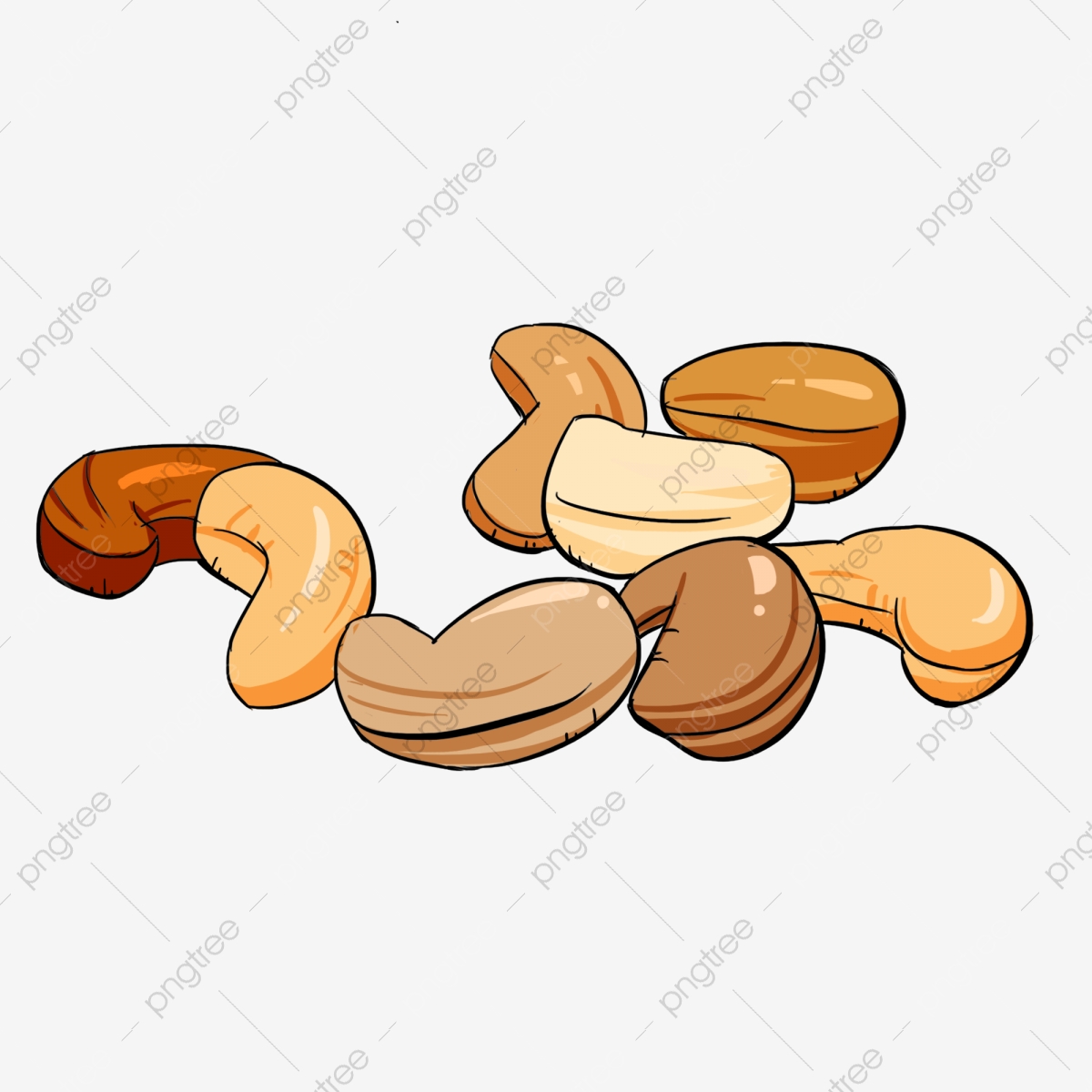 Meaning nuts Nomenclature of