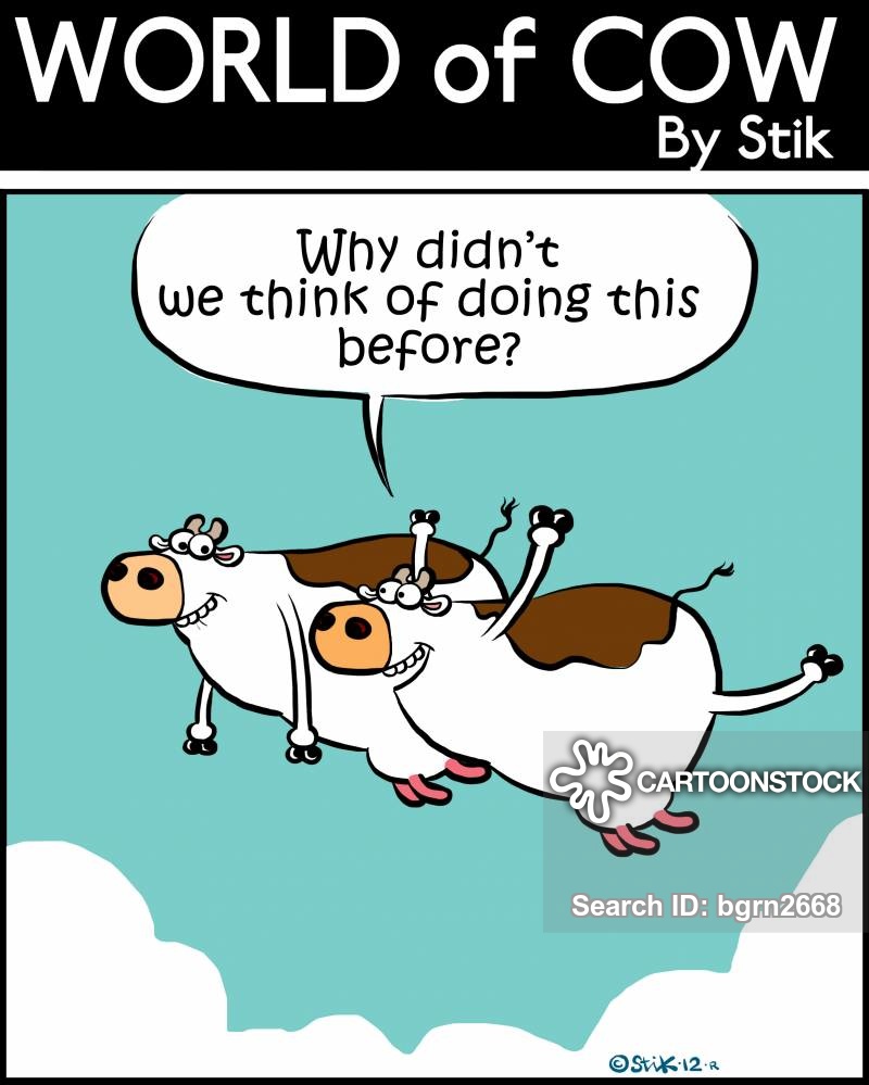 Cow comics. When Pigs Fly Comics. The Fly and the Cow перевод.