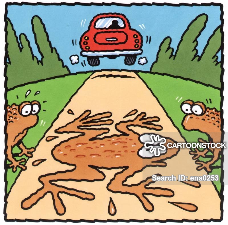 Run over. Run over cartoon. Run over picture. Car Run over cartoon pic.